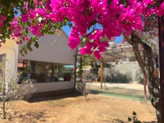 D Banlieue Homestay And Coffee - 7