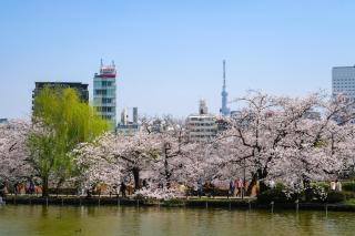 stayme THE HOTEL Ueno - Tokyo - 7