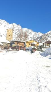 Chvibiani Guesthouse & Bar - Ushguli - 1