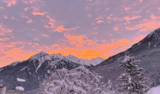 Apartment Wildalmblick - 3