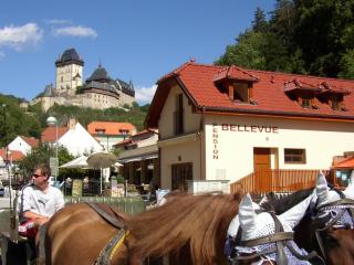 Pension a Restaurace Vyhlídka - Karlštejn - 8