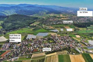 Ferien - Apartment umgeben von Obstplantagen - Waldkirch - 9
