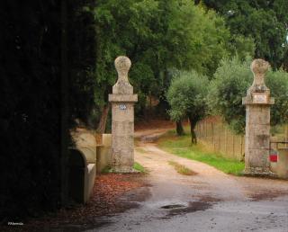 Quinta do Cerquito - Ferreira do Zêzere - 0