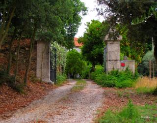 Quinta do Cerquito - Ferreira do Zêzere - 8