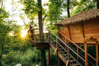 Treehouse Bojnice - Bojnice - 0
