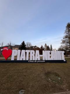 Celine Apartments - Piatra Neamţ - 7