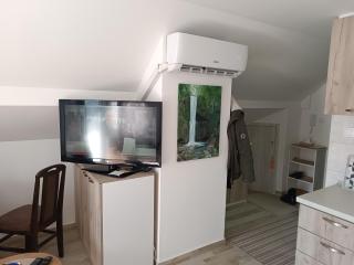 Apartman SJAJ - Soko Banja - 5