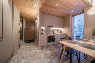 Edge Chalet by Aavalevi Holidays, Ski-in Ski-out, Mountain view - Levi - 3