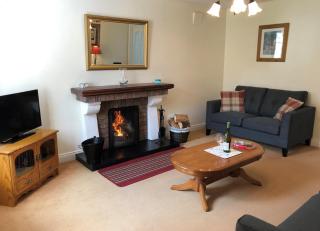 Aughrim Holiday Village No 11 by Trident Holiday Homes - Aughrim - 7