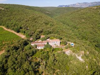 Ideal famille et groupe Mas dans les Cévennes Piscine Plages privées Cadre exceptionnel Convivialité Calme Vignoble Parking gratuit Borne électrique Animaux acceptés - Wifi - Causse-de-la-Selle - 1