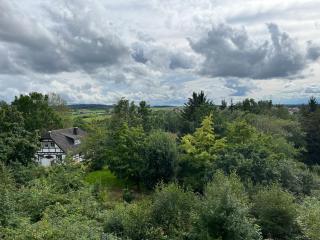 9 persoons vakantiehuis rand Sauerland Edersee - 3