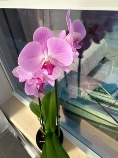 Modern unit by the lake and beach - 6