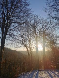 Sunclass Durbuy Chalet 98 Woody - Durbuy - 7