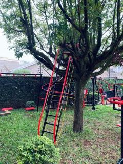 Vineyard Kerugoya - 9