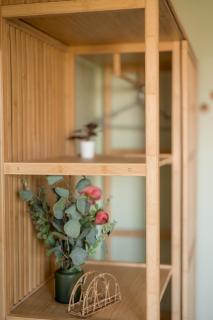 Green Studio Oasis - Quiet, Cozy & Convenient - Timişoara - 1
