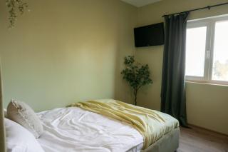 Green Studio Oasis - Quiet, Cozy & Convenient - Timişoara - 6