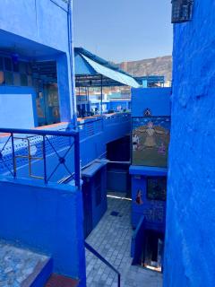 Cosy Guest House - Jodhpur - 4
