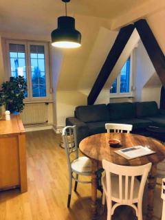 Charming downtown apartment with roof top - Mulhouse - 0