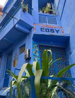 Cosy Guest House - Jodhpur - 7