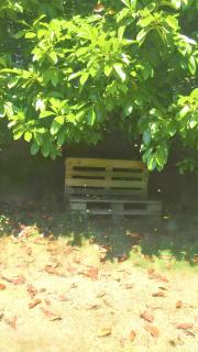 Studio confort Plouédern 20 m² avec jardin clos - Plouédern - 1