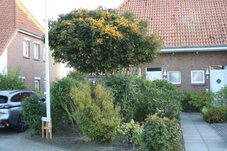 Ferienhaus Klopfer - 10 Minuten zum Strand, 6 Personen plus Kind, WLAN und Parkplatz - Wittmund - 2