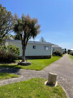 Mounts Bay Caravan Park - Penzance - 7