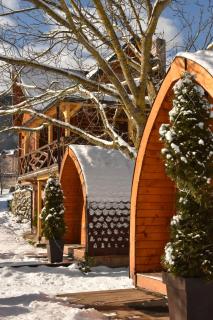 Vila Jelena - BUNGALOV - 9