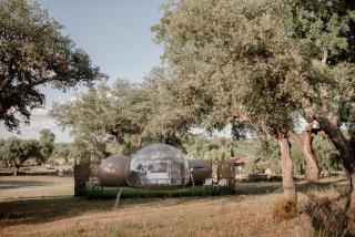 Finca El Cortiñal - Valencia de Alcántara - 8
