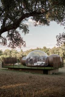Finca El Cortiñal - Valencia de Alcántara - 6
