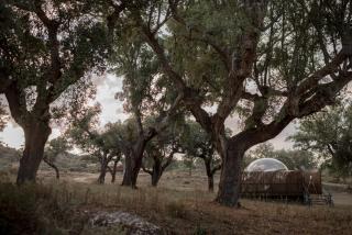 Finca El Cortiñal - Valencia de Alcántara - 5