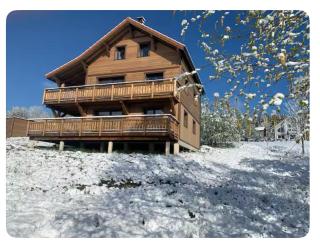 Chalet des fauvettes - Gérardmer - 9