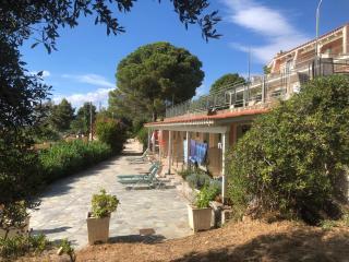 Despina Studios and Apartments - Lassi - 7