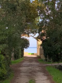 Casa Grande, historic Villa by the sea, in the sea - Portoferraio - 8