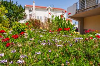 Rooms Tony Near The Beach - Novalja (Novaglia) - 5