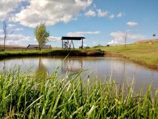 Vreugde Gasteplaas - 8