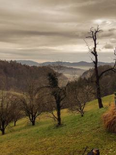 Holiday apartement Sentjur - Šentjur - 3