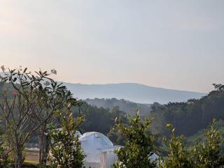 DKN Coffee & Resort - - 2