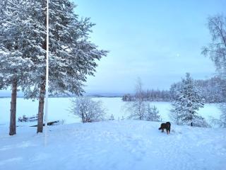 Mökki Kemijärvellä - 3