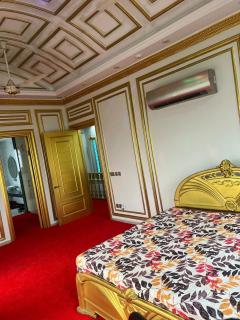 PrinceMalik House - Lahore - 2
