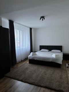 Apartament Gabriel - Topliţa - 7