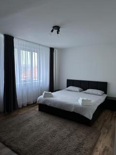 Apartament Gabriel - Topliţa - 1