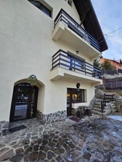 Villa Ski Azuga - Azuga - 9