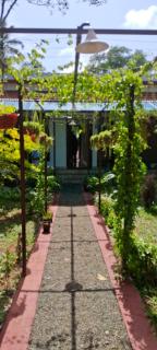 Kuttappy dreams - Alleppey - 7