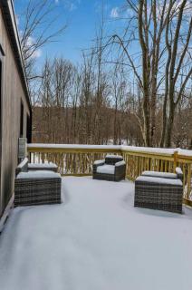 Modern Tiny Home Wraparound Deck - Great Valley - 2