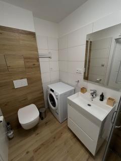 Apartmán Mariánská Hora - 1