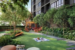 Central Resident - 9