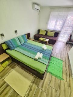 Vila Aleksandra 2 Studio 5 - Soko Banja - 5