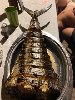 Fakriba tour camping and travel - 2