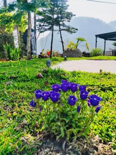 Lishan House - Heping - 1