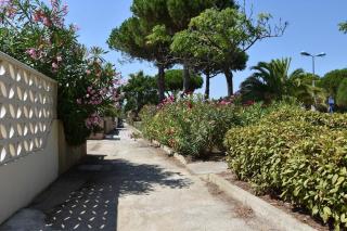 Maison Studio mezzanine - Gruissan Ayguades AY030-203 - Vires - 2